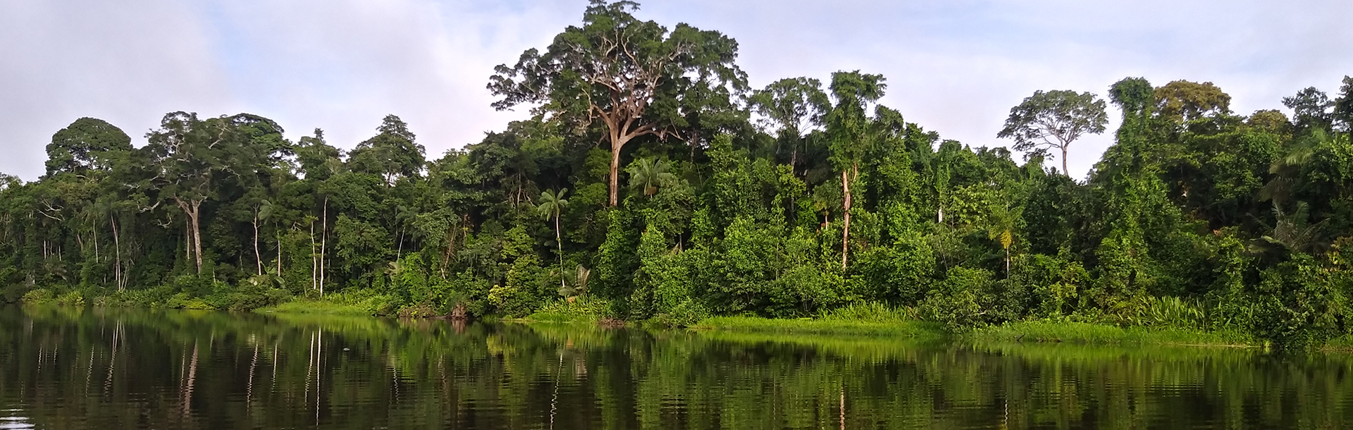 Selva Tropical – Posada Amazonas 4 días