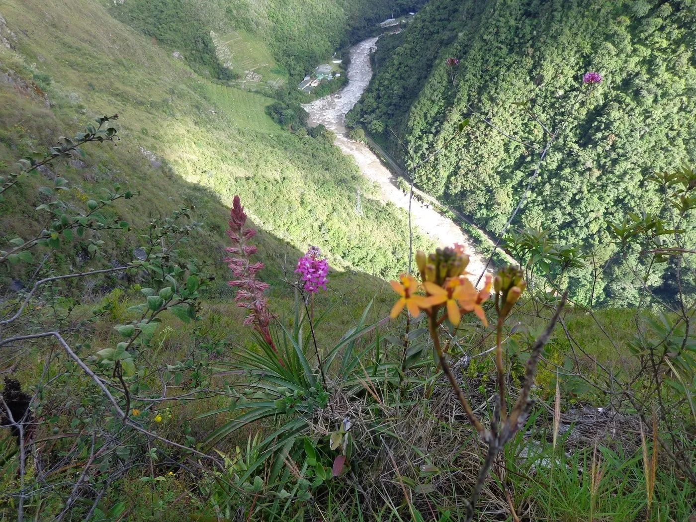 Caminata de dos días – Camino Inca corto a Machu Picchu 4