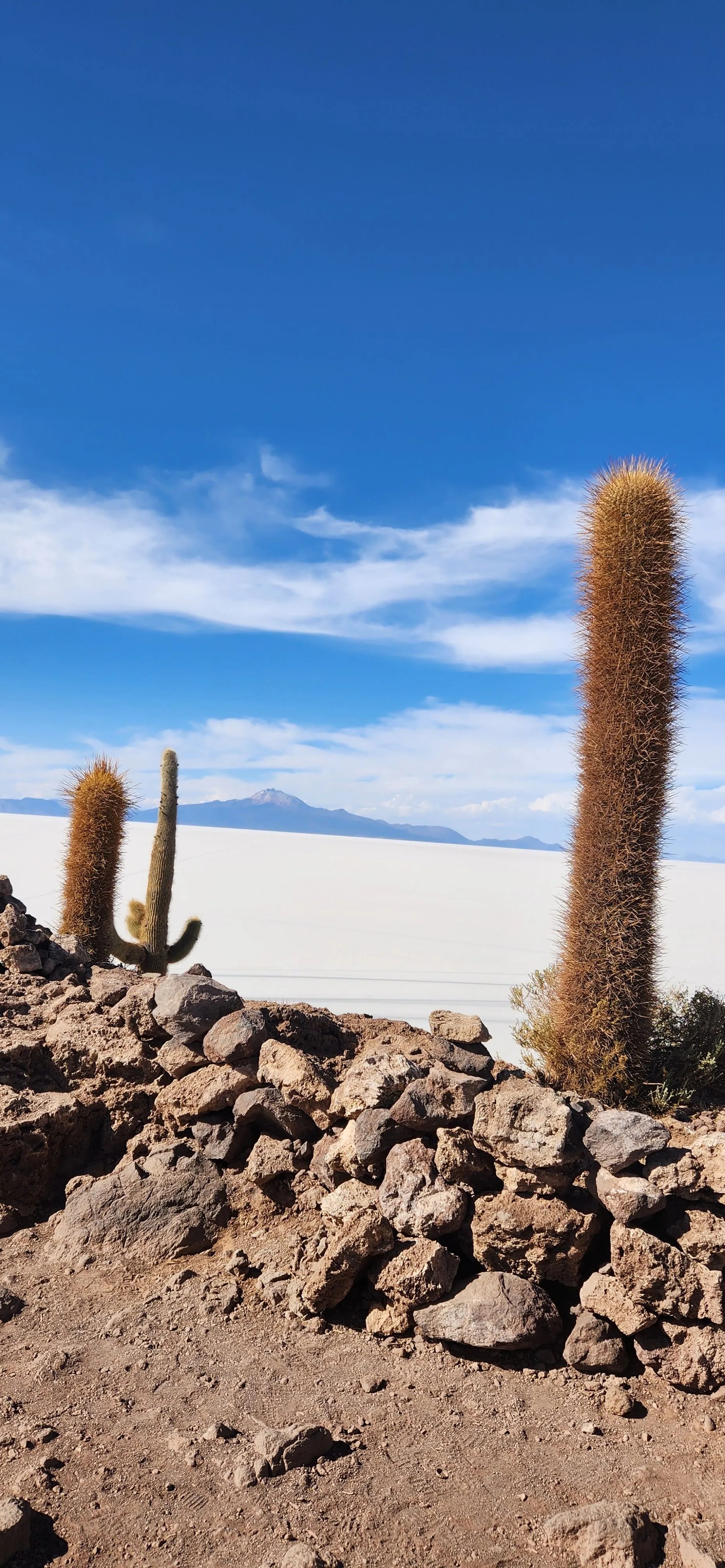 Uyuni Salt Pans 3D 4