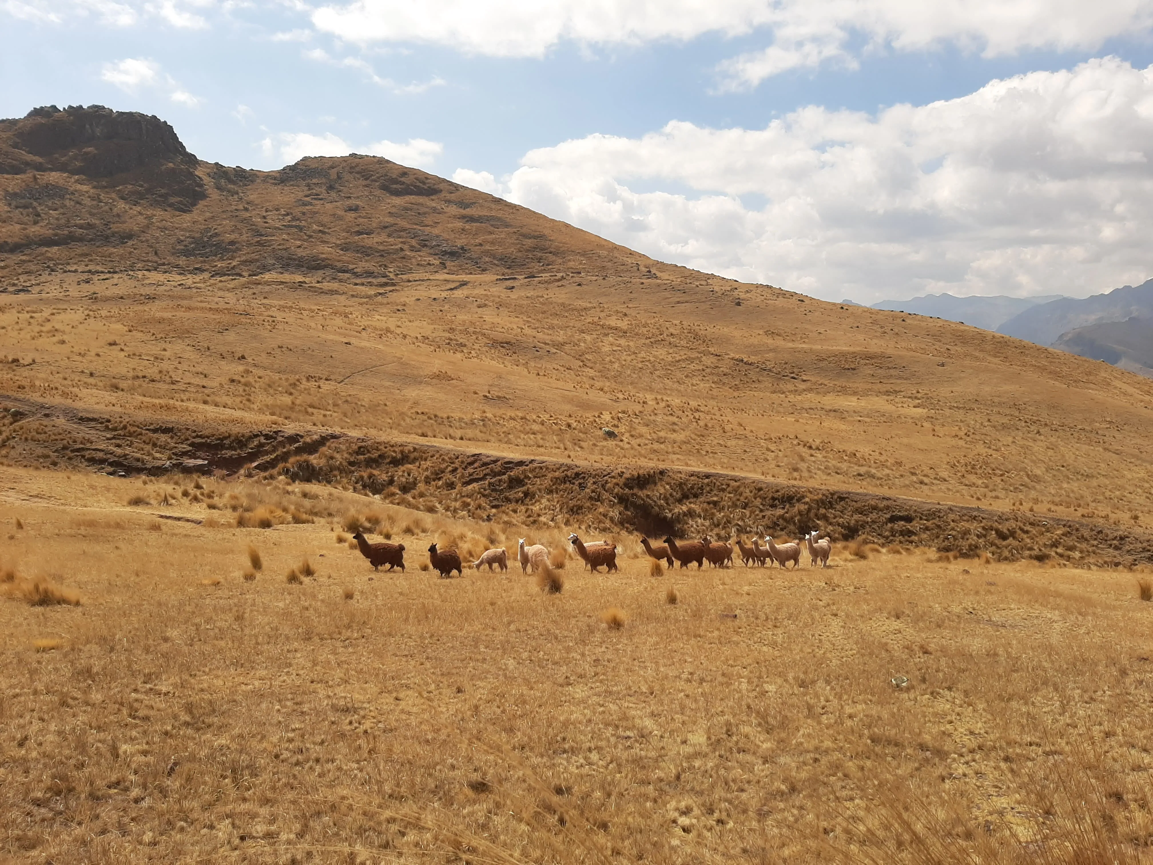 Two Day Hike to Huchuy Qosqo - Sacred Valley 2