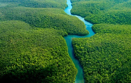 Rainforest – Posada Amazonas 4D