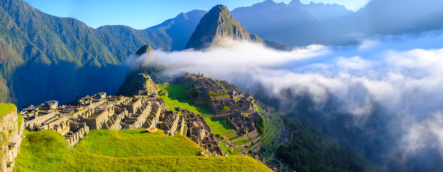 Camino Inca Completo Cinco Días a Machu Picchu